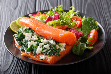 Spicy salmon stuffed with spinach and cream cheese and fresh vegetable salad close-up. horizontal