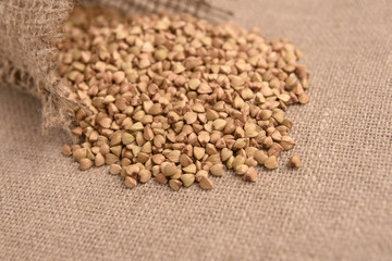Scattered buckwheat grains. Healthy food. Brown background