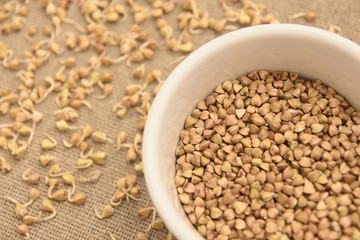 Buckwheat grain. Neutral background. Sprouts. White plate
