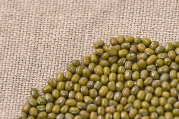 Many green beans. Cooking healthy food. Neutral background