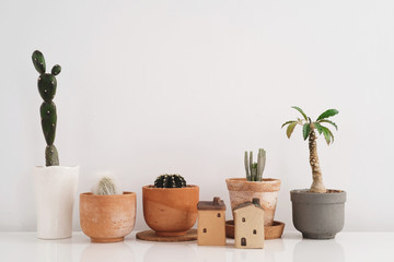 Cactus plant in clay and ceramic pot. lifestyle room decoration. Scandinavian interior design.