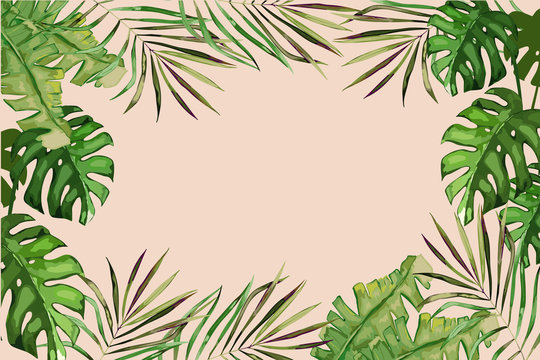 Exotic tropical palm tree. Frame border background. Summer vector illustration. Template for card