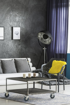 Living room with industrial furniture