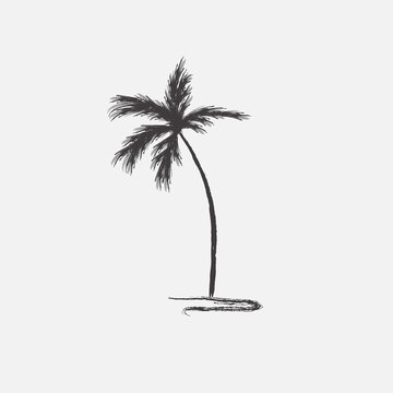 Black vector single palm tree silhouette icon isolated