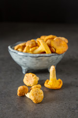 Raw wild chanterelle mushrooms redy for cooking. dark background. Vegetarian food.