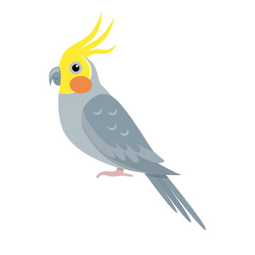 Corella parrot icon in flat style