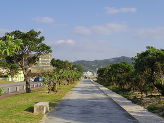 沖縄県名護市21世紀の森公園