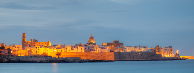 Monopoli old town night view from the sea, Italy