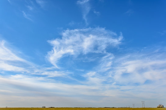 Blue sky with white, fluffy, tender cirrus clouds, yellow field,