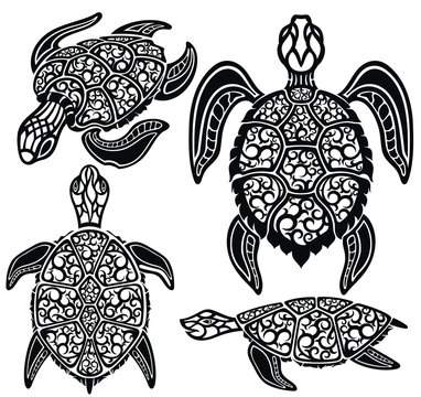 Sea turtles. Sea Animals