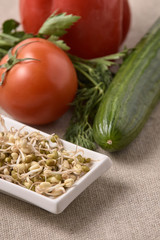 Sprouted beans. Preparation of salad. Fresh vegetables