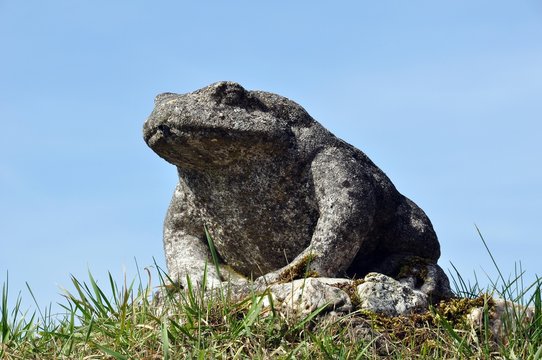 Frosch auf der Festung Rosenberg in Kronach