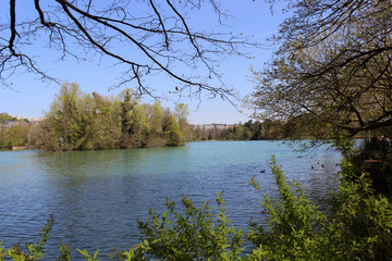 Fototapeta na wymiar lago del parque de Lyon 