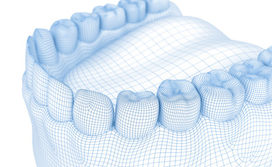 Mouth gum and teeth. Wire 3d model illustration