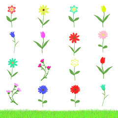 Set of many variation of flowers isolated on white background with grass sample vector illustration. Happy, cute, hand drawn with love.