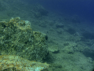 Fototapeta na wymiar Underwater landcape in Hvar croatia
