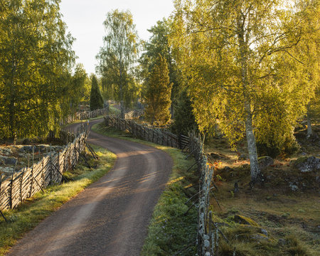 Rural road in Smaland, Sweden
