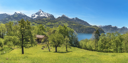 Swiss landscape with mountains and meadows - Spring landscape with green meadows, cows, a stable...