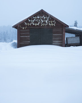 Antlers on log cabin in Dalarna, Sweden