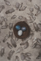 top view of easter eggs in nest on concrete surface with feathers