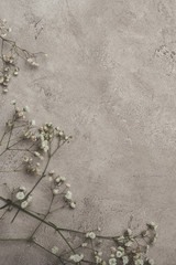 top view of white flowers on concrete surface with copy space