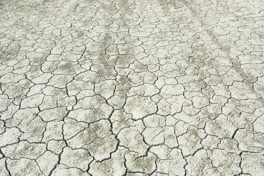 Drought - disaster - 20282816