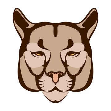 puma face  vector illustration flat style  front