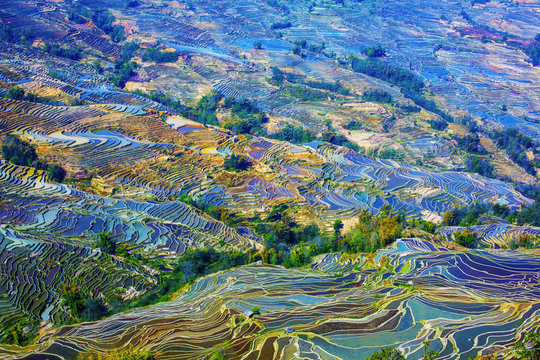 Yunnan Yuanyang titian