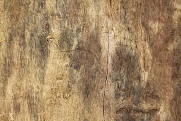 Holztextur, Hintergrundbild,  braune Baumrinde