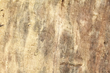 Holztextur, Hintergrundbild,  braune Baumrinde