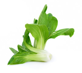 Baby vegetables Choy isolated on white background