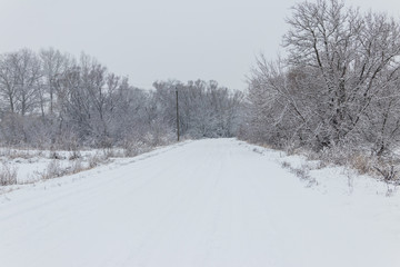 Fototapeta premium Snowy road during snowfall. Winter rural landscape