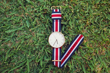 wrist watch on a green grassy background