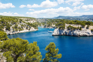Fototapeta na wymiar Calanques of Port Pin in Cassis, Provence, France