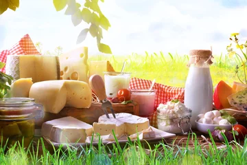 Printed kitchen splashbacks Dairy products Assortment of dairy products on grass in the meadow