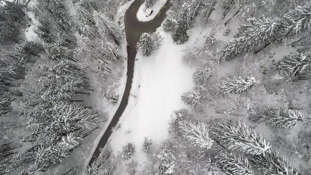 Spinning aerial view of a asphalt road and forest tree tops covered with snow.