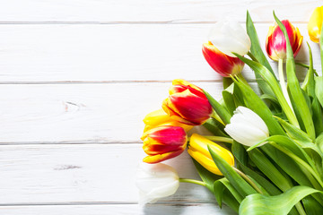 Red yellow and white tulips on white wooden table.
