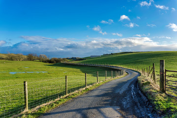 Fototapeta premium A winding country lane passing through green fields.