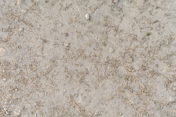 Dried grass covered with liquid mud close-up of the concept of nature, background