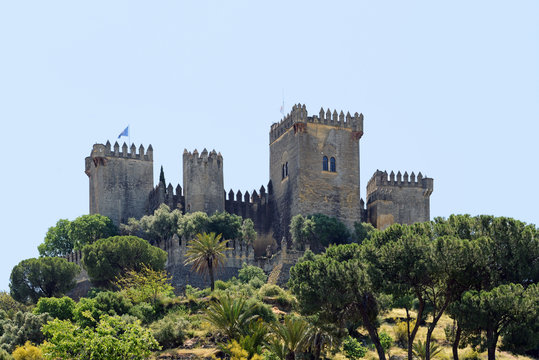 Festung Castillo de Almodovar del Rio in Andalusien