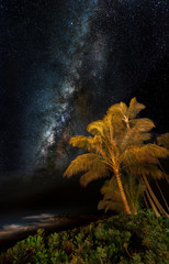 The Milky Way glows behind a palm tree by the surf on Kauai's southern shore near Poipu