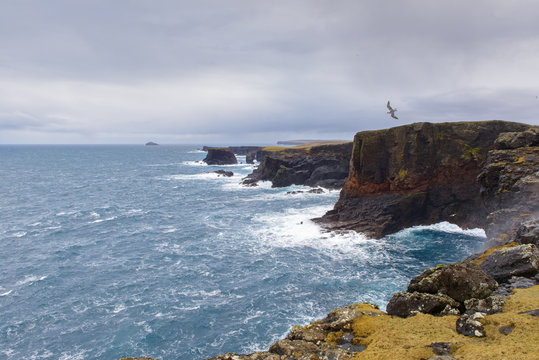 Rocky coastline