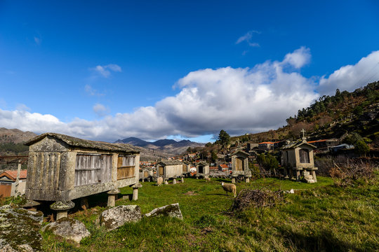 Paneda