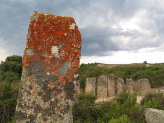 Menhirs - Corsica - France