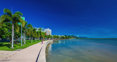 CAIRNS, AUSTRALIA - 27 MARCH 2016. The Esplanade in Cairns with palm trees and the ocean, Queensland, Australia. - obrazy, fototapety, plakaty
