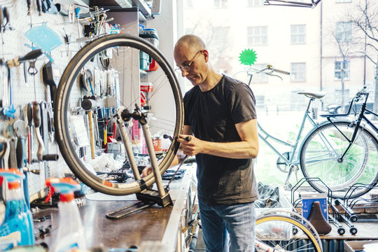 Small business owner of bicycle store