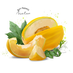 Yellow melon and splashes of watercolor painting