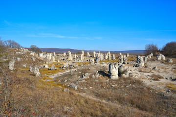 Pobiti Kamani, The Stone Forest Natural Reserve in Bulgaria
