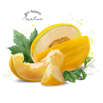 Yellow Melon And Splashes Of Watercolor Painting