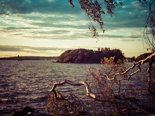 Tree in the foreground and an island in the background